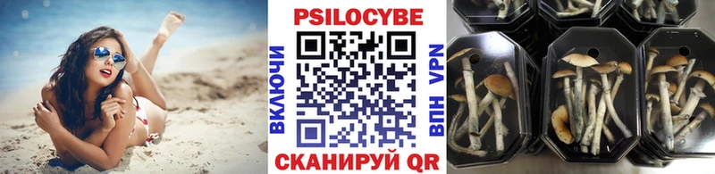 Псилоцибиновые грибы Cubensis  Купить закладки  Кстово 
